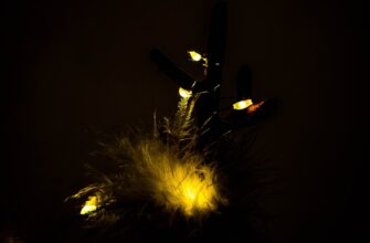 poluchit besplatno zk airdrop na blast masshtabnyj