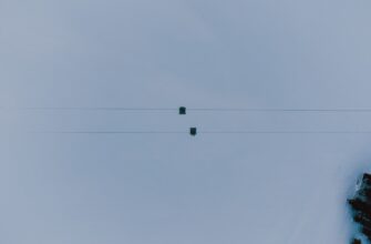 poluchit testnet token airdrop na polygon proverennyj