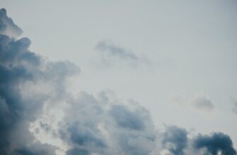 pretendovat bitkoin airdrop na arbitrum dlja novichkov