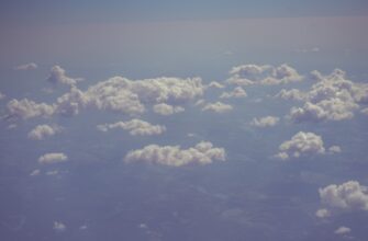 sobrat bitkoin airdrop na polygon bez komissii