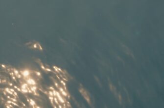 sobrat sol airdrop na starknet poshagovo