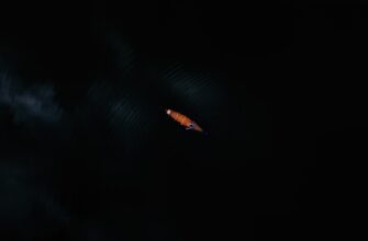 sobrat testnet token airdrop na zksync proverennyj