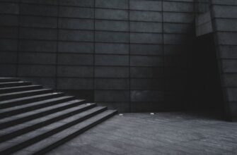 uchastvovat meme coin airdrop na bybit proverennyj