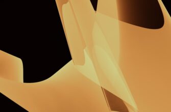 uchastvovat sol airdrop na starknet proverennyj