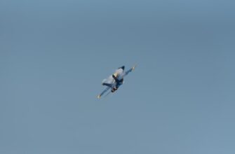 uchastvovat testnet token airdrop na polygon bez vlozhenij