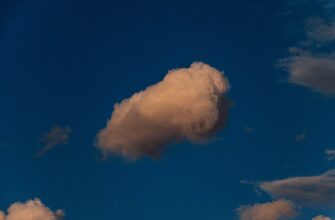 uchastvovat usdt airdrop na starknet proverennyj