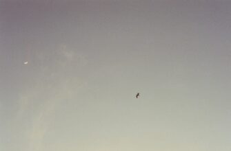 zabrat jefirium airdrop na zksync masshtabnyj
