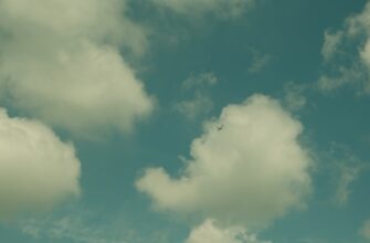 zabrat sol airdrop na bybit masshtabnyj