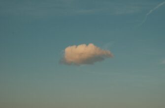 zabrat testnet token airdrop na arbitrum proverennyj