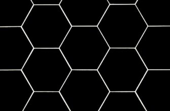 zabrat ton airdrop na polygon poshagovo