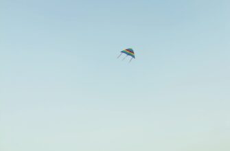 zabrat zk airdrop na layerzero proverennyj