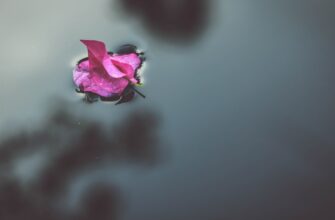 zabrat zk airdrop na zksync poshagovo