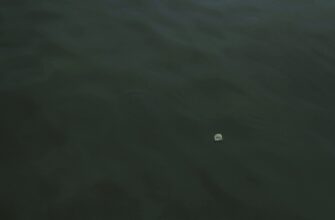 zarabatyvat procenty usdt na kraken staking poshagovo