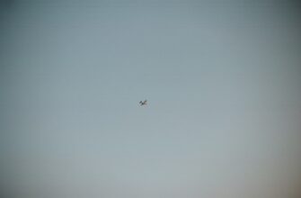 besplatnyj airdrop zk v kazahstane