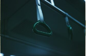 derzhat v pule likvidnosti usdt na pendle bez komissij