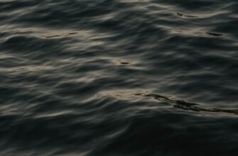 farmit dohod sol na kraken staking samyj vysokij apy