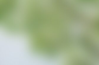 kak hranit metamask v holodnom hranenii poshagovo
