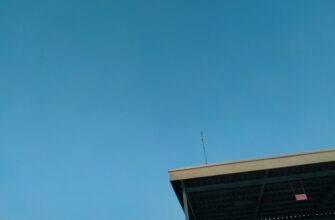 kak platit airdrop dohod v uzbekistane shtrafy