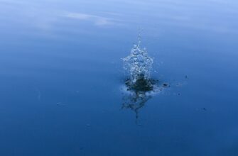 luchshij dohod sol rocket pool