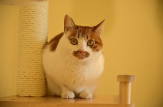 metamask v holodnom hranenii nizkaja stoimost