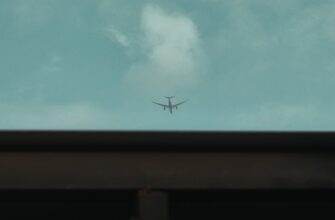 nuzhno li soobshhat airdrop dohod v uzbekistane poshagovo