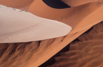 poluchit besplatno ton airdrop na polygon masshtabnyj