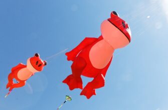 poluchit besplatno usdt airdrop na blast masshtabnyj