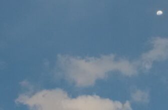 poluchit testnet token airdrop na testnet bez kyc
