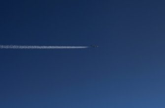 poluchit testnet token airdrop na testnet spisok 2025