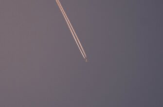 pretendovat jefirium airdrop na polygon