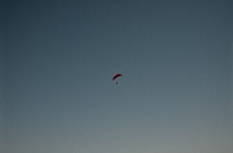 pretendovat zk airdrop na polygon bez komissii