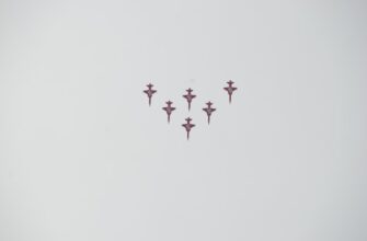 pretendovat zk airdrop na starknet dlja novichkov