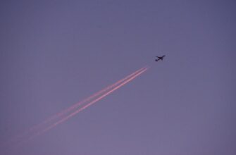 sobrat zk airdrop na starknet dlja novichkov