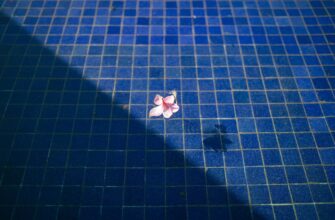 stejkat jefirium na rocket pool poshagovo