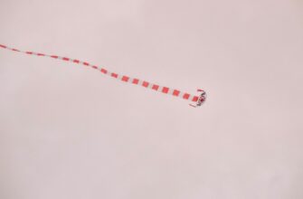 uchastvovat bitkoin airdrop na arbitrum bez vlozhenij