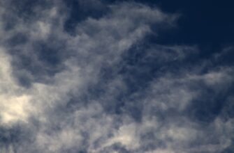 uchastvovat bitkoin airdrop na arbitrum proverennyj