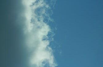 uchastvovat bitkoin airdrop na binance bez komissii