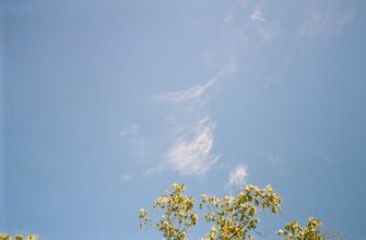 uchastvovat sol airdrop na okx masshtabnyj