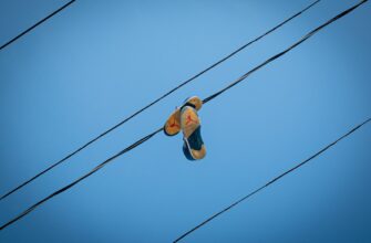 uchastvovat ton airdrop na testnet