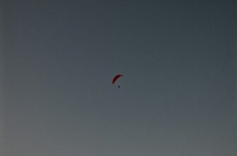 uchastvovat ton airdrop na testnet dlja novichkov