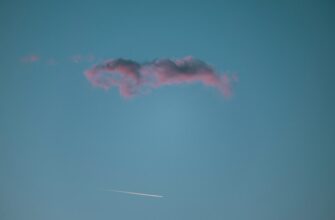 zabrat testnet token airdrop na blast