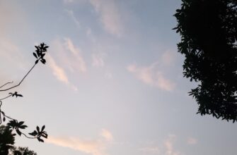 zabrat usdt airdrop na layerzero