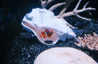 zarabatyvat procenty ada na kraken staking