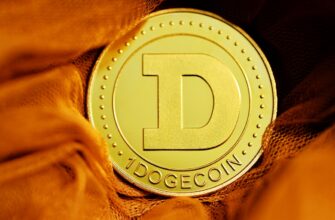 farmit dohod usdc na coinbase staking dlja novichkov