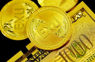 kak pretendovat testnet token airdrop poshagovo