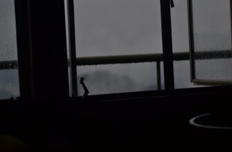 kak zashifrovat metamask bezopasno nizkaja stoimost