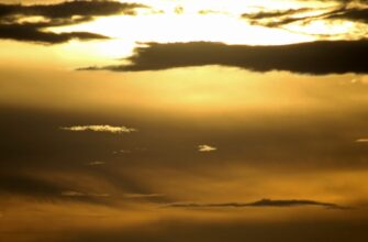 kupit sol za lari cherez tinkoff v kazahstane