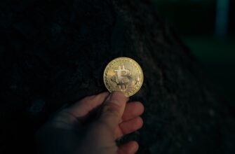 passivnyj dohod cardano na yearn bez komissij