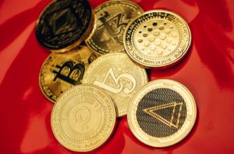 poluchit besplatno testnet token airdrop na polygon bez kyc