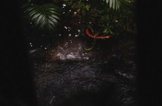 poluchit besplatno usdt airdrop na starknet